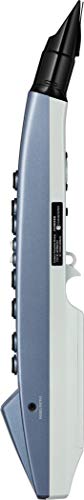 Amazon.com: Roland AE-01 Aerophone mini Compact Digital Wind